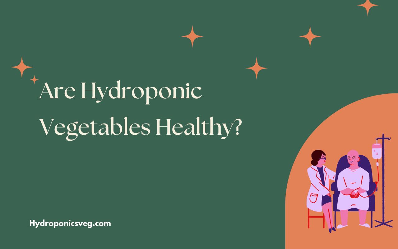 are hydroponic vegetables healthy