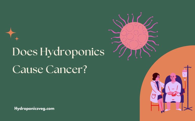 Does Hydroponics Cause Cancer? Research-Backed