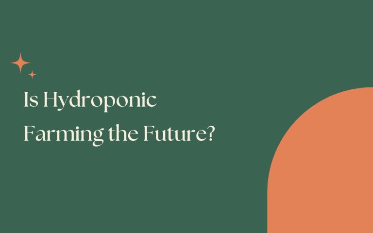 Is Hydroponics the Future of Farming?