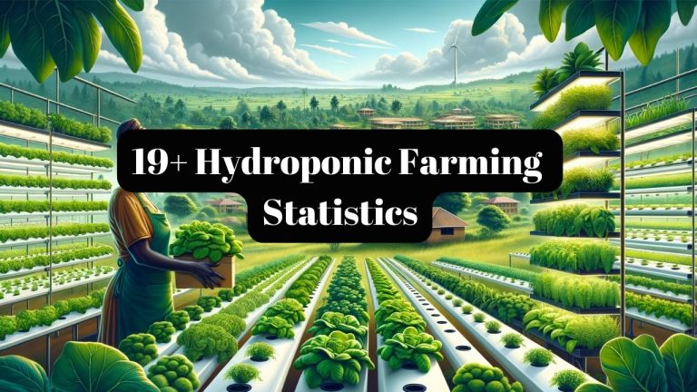19+ Hydroponic Farming Statistics for 2024 (Up to Date)